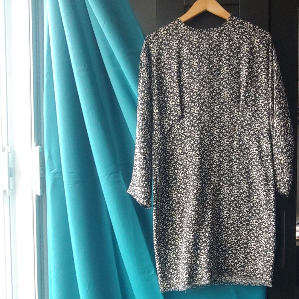 Joseph Silk Freddie Print Dress